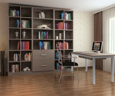 好莱客书柜TS1 理想办公用品的卓越选择