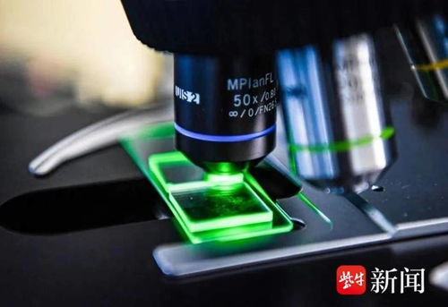 国内首条光子芯片中试线无锡启用，软硬件协同引领计算技术新纪元